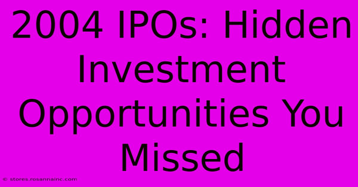 2004 IPOs: Hidden Investment Opportunities You Missed