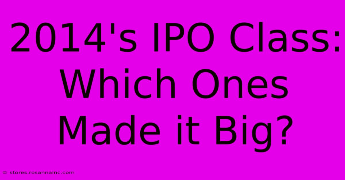 2014's IPO Class: Which Ones Made It Big?