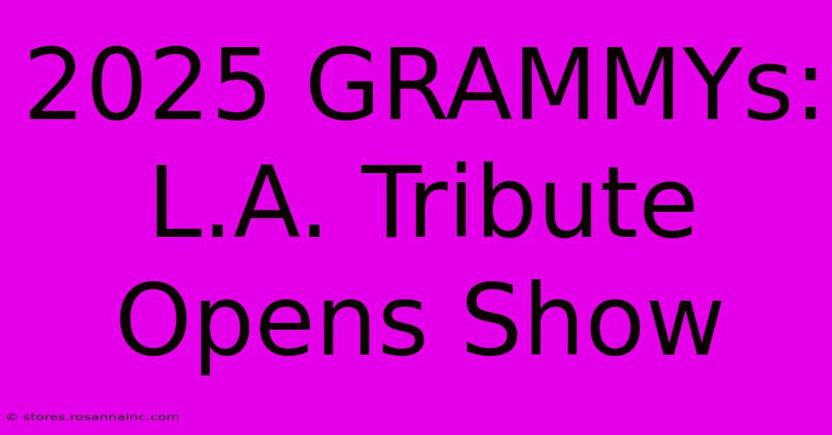 2025 GRAMMYs: L.A. Tribute Opens Show