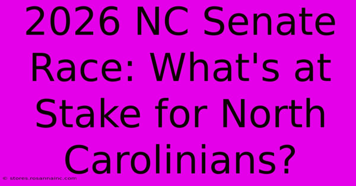 2026 NC Senate Race: What's At Stake For North Carolinians?