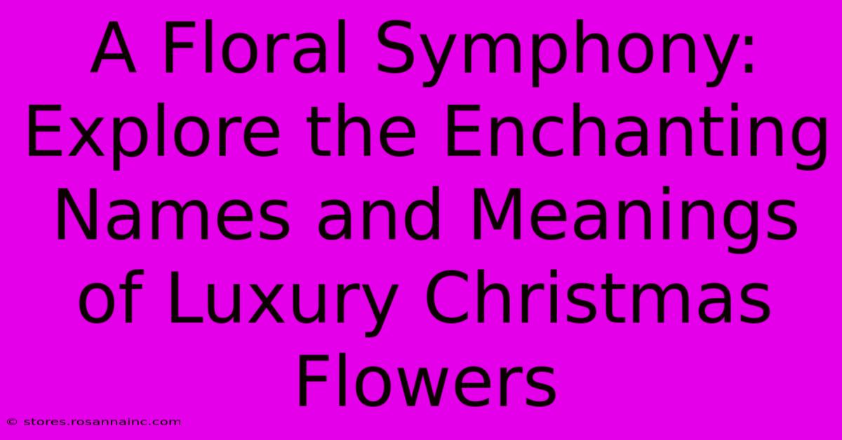 A Floral Symphony: Explore The Enchanting Names And Meanings Of Luxury Christmas Flowers