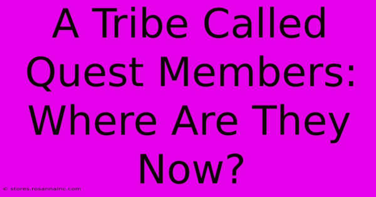 A Tribe Called Quest Members: Where Are They Now?