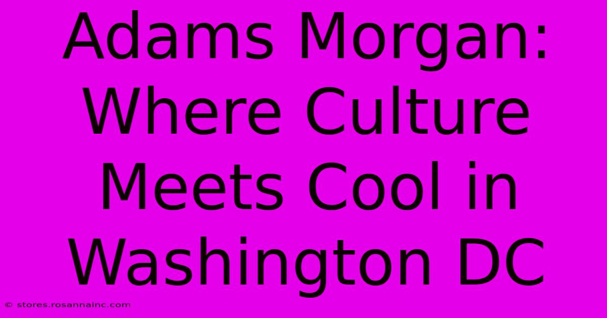 Adams Morgan: Where Culture Meets Cool In Washington DC