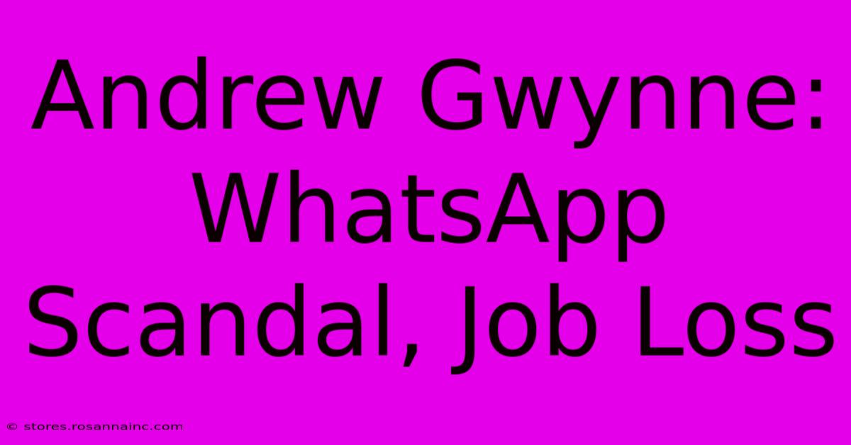 Andrew Gwynne: WhatsApp Scandal, Job Loss