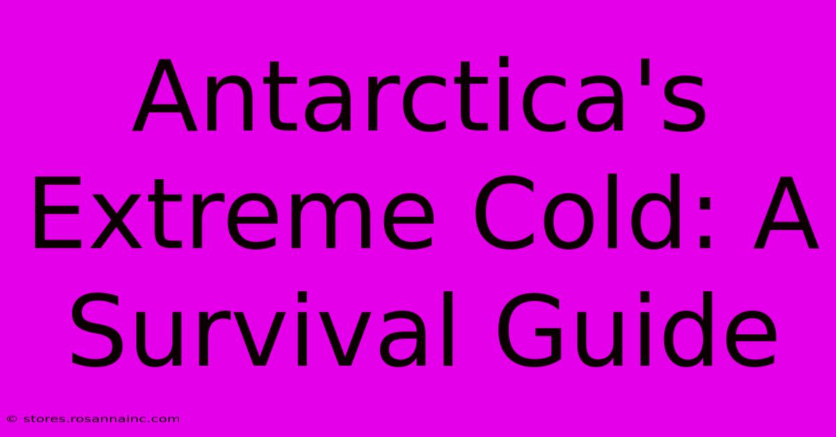 Antarctica's Extreme Cold: A Survival Guide