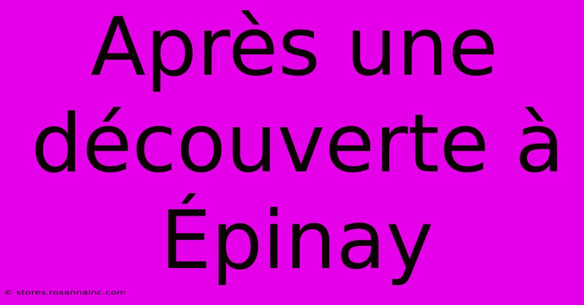 Après Une Découverte À Épinay