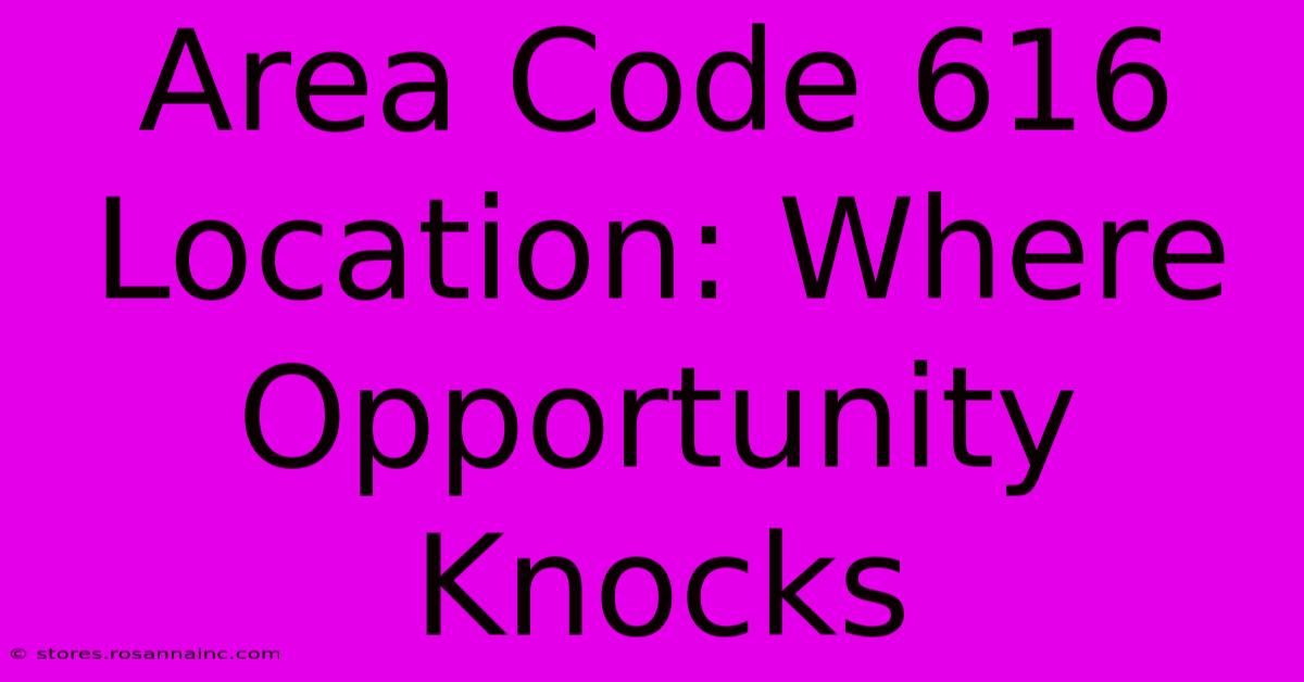 Area Code 616 Location: Where Opportunity Knocks