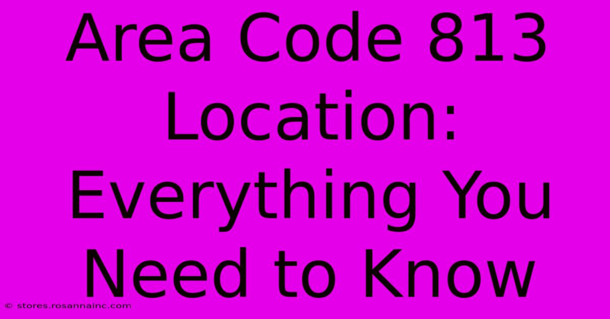 Area Code 813 Location: Everything You Need To Know