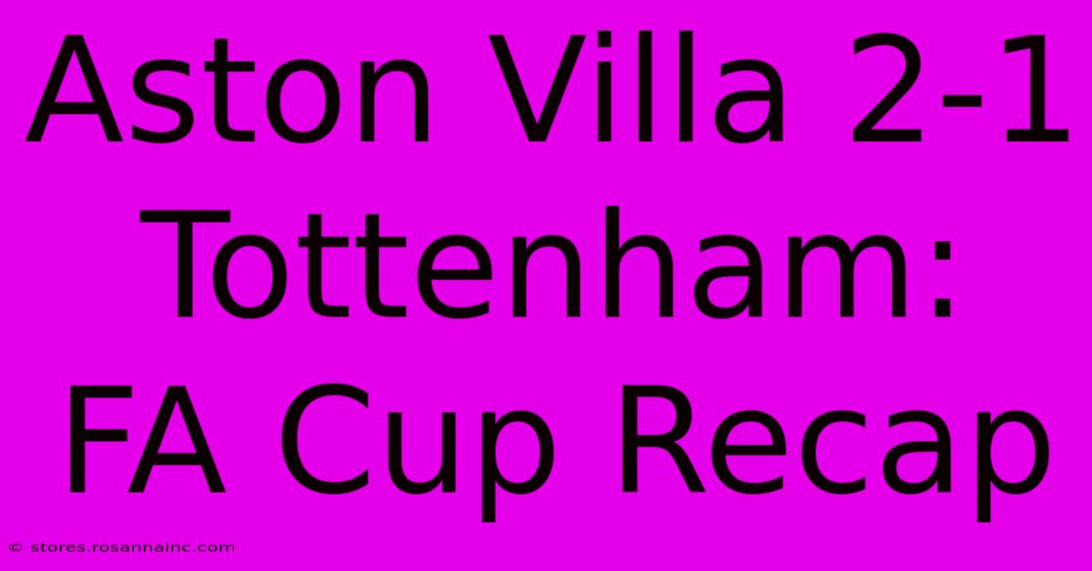 Aston Villa 2-1 Tottenham: FA Cup Recap