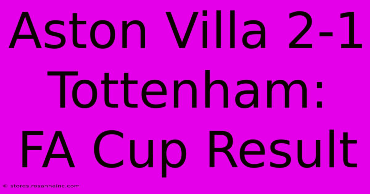 Aston Villa 2-1 Tottenham: FA Cup Result