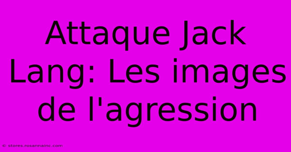 Attaque Jack Lang: Les Images De L'agression