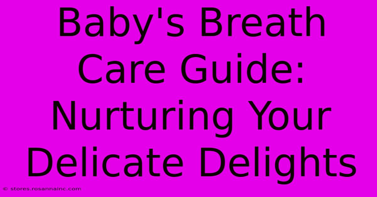 Baby's Breath Care Guide: Nurturing Your Delicate Delights