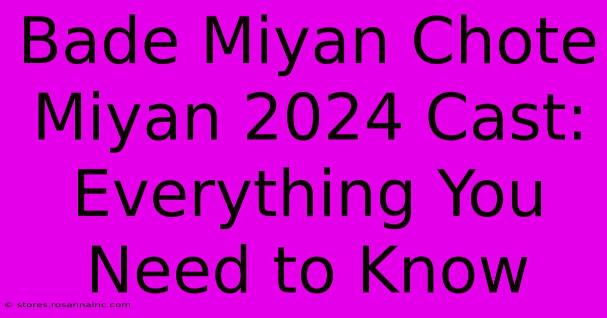 Bade Miyan Chote Miyan 2024 Cast: Everything You Need To Know