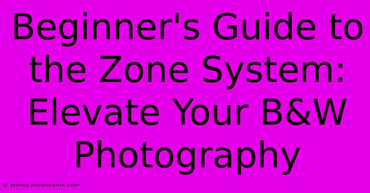 Beginner's Guide To The Zone System: Elevate Your B&W Photography