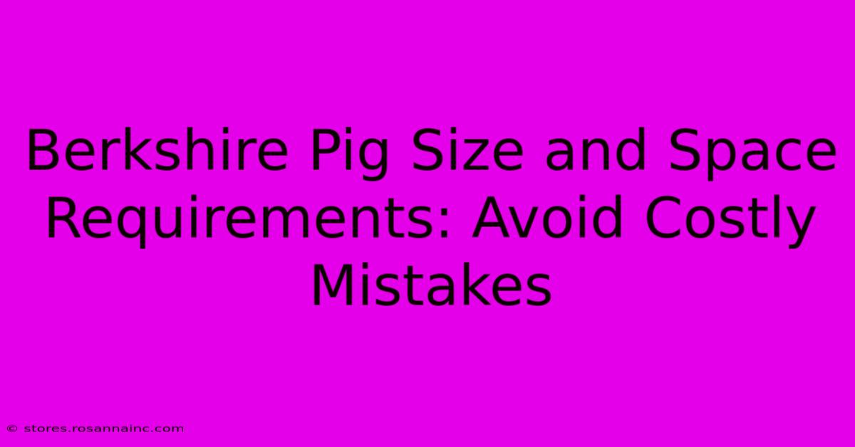 Berkshire Pig Size And Space Requirements: Avoid Costly Mistakes