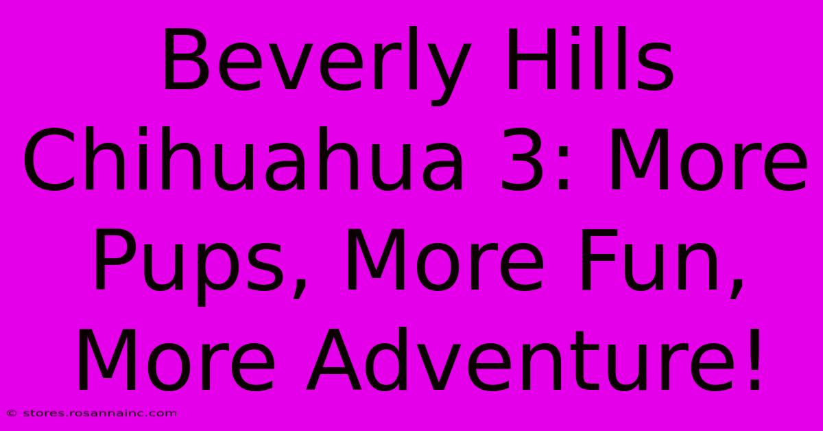 Beverly Hills Chihuahua 3: More Pups, More Fun, More Adventure!