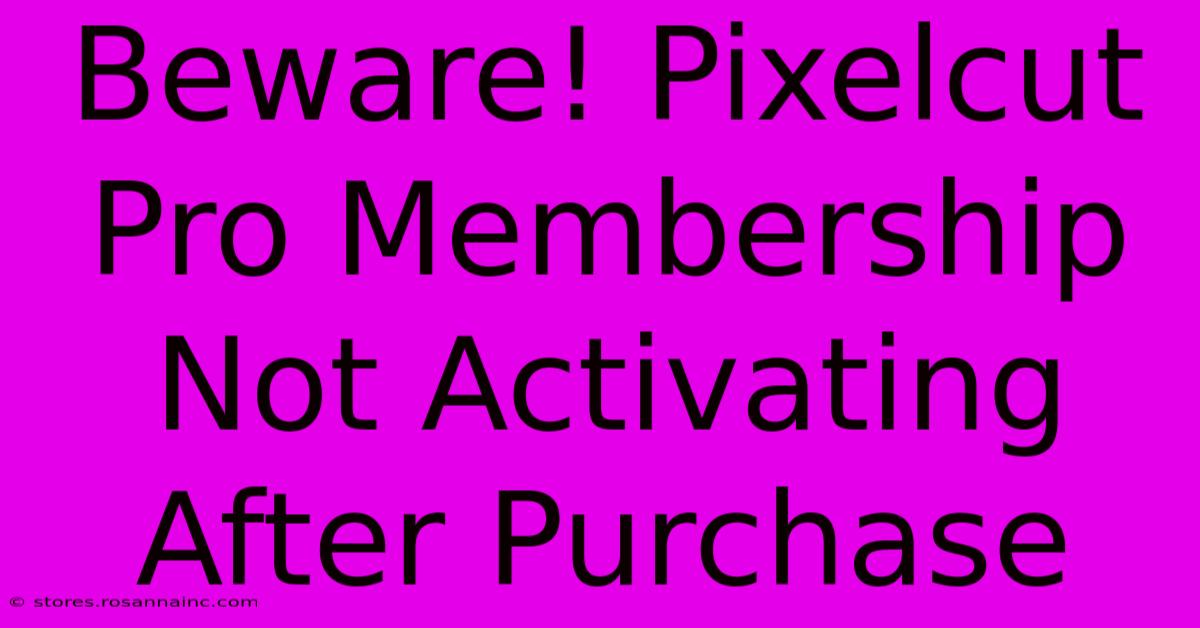 Beware! Pixelcut Pro Membership Not Activating After Purchase