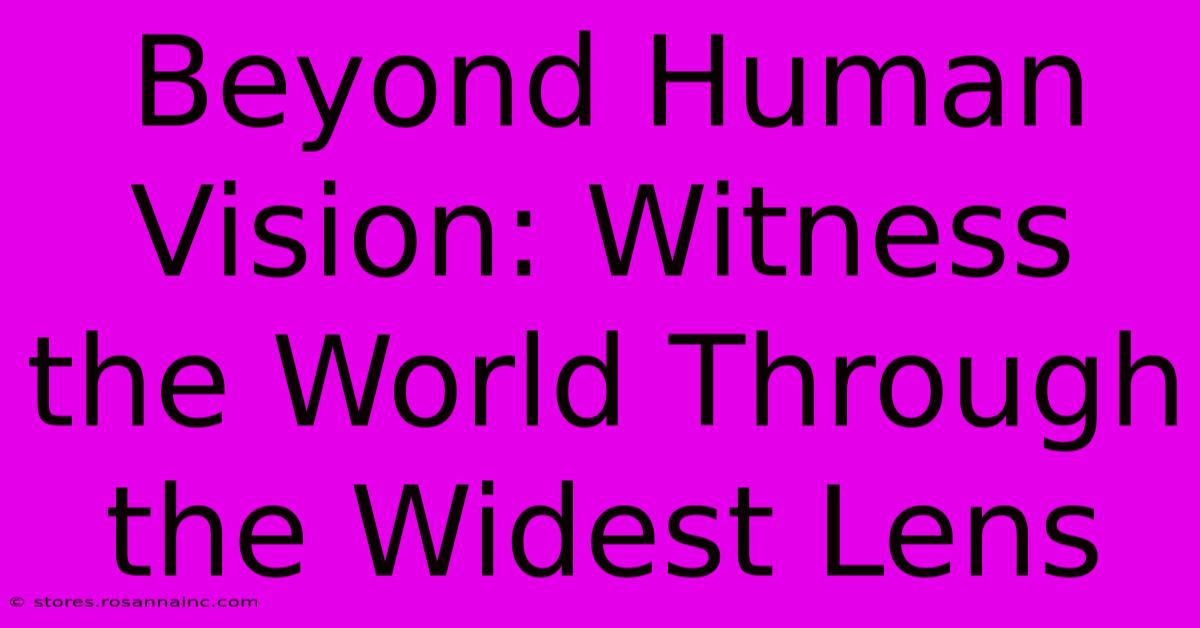 Beyond Human Vision: Witness The World Through The Widest Lens