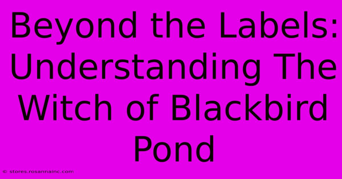 Beyond The Labels: Understanding The Witch Of Blackbird Pond