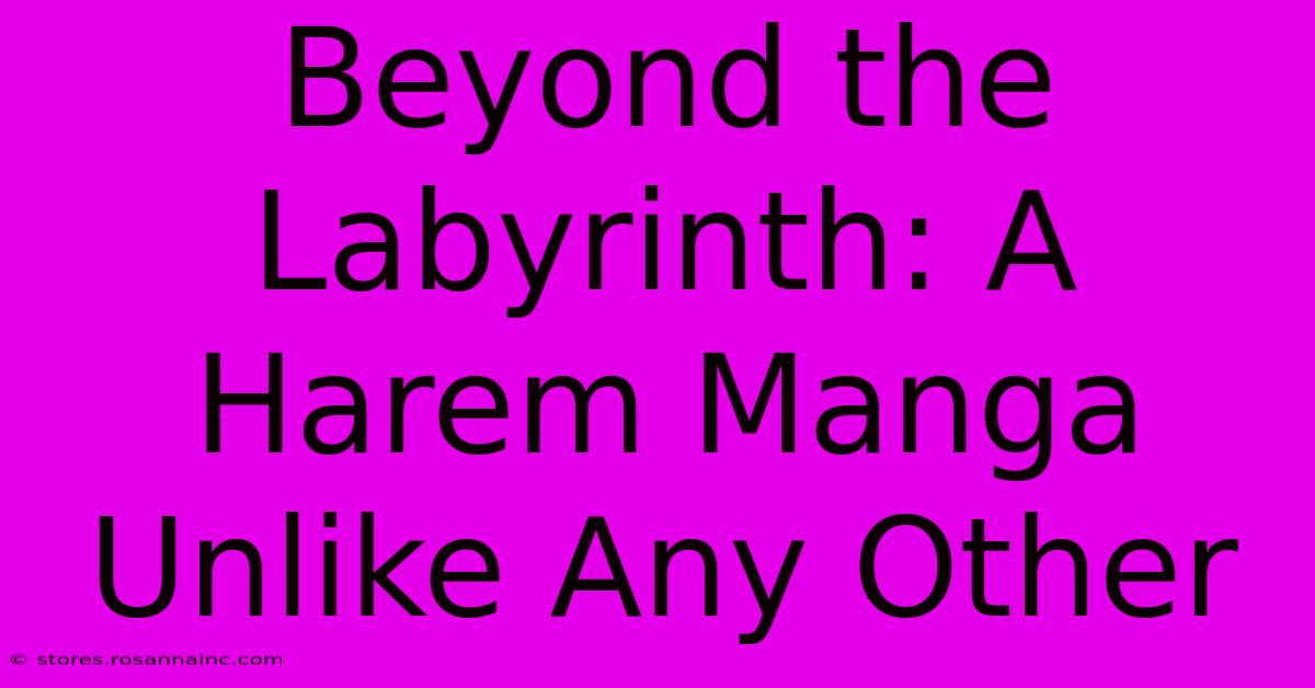 Beyond The Labyrinth: A Harem Manga Unlike Any Other