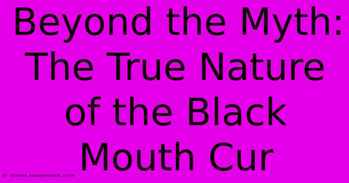 Beyond The Myth: The True Nature Of The Black Mouth Cur