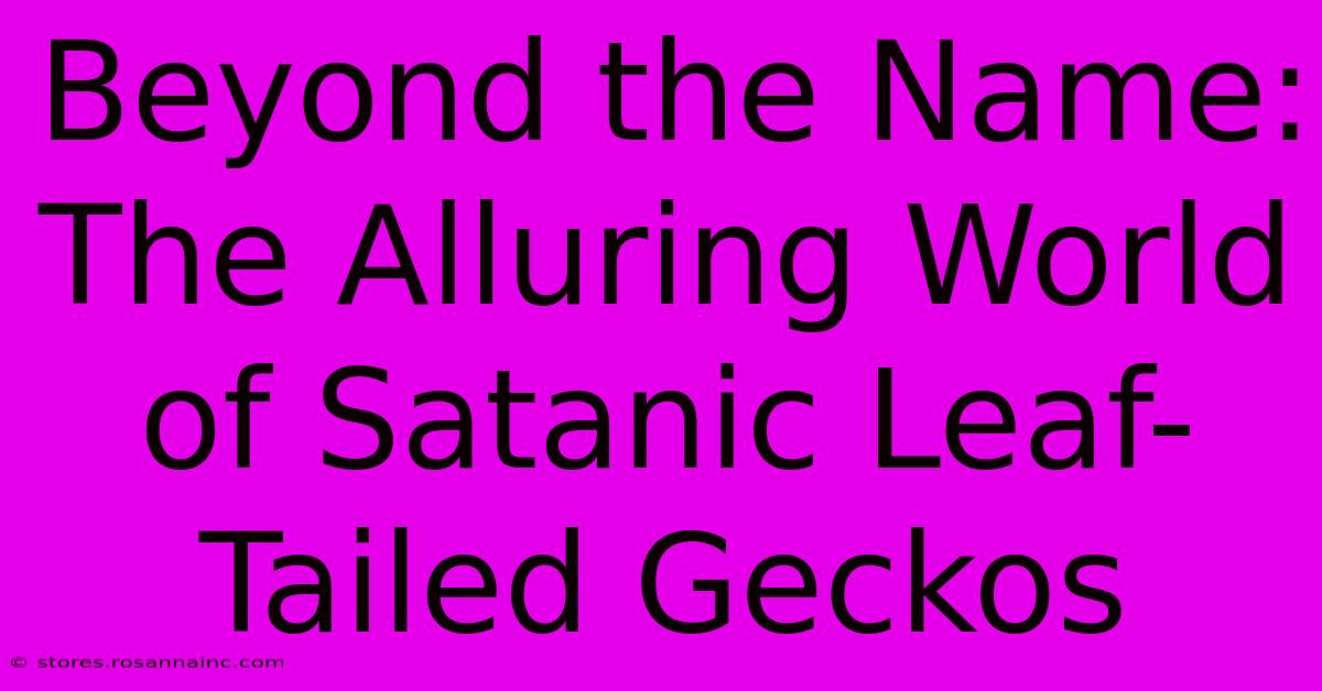 Beyond The Name: The Alluring World Of Satanic Leaf-Tailed Geckos