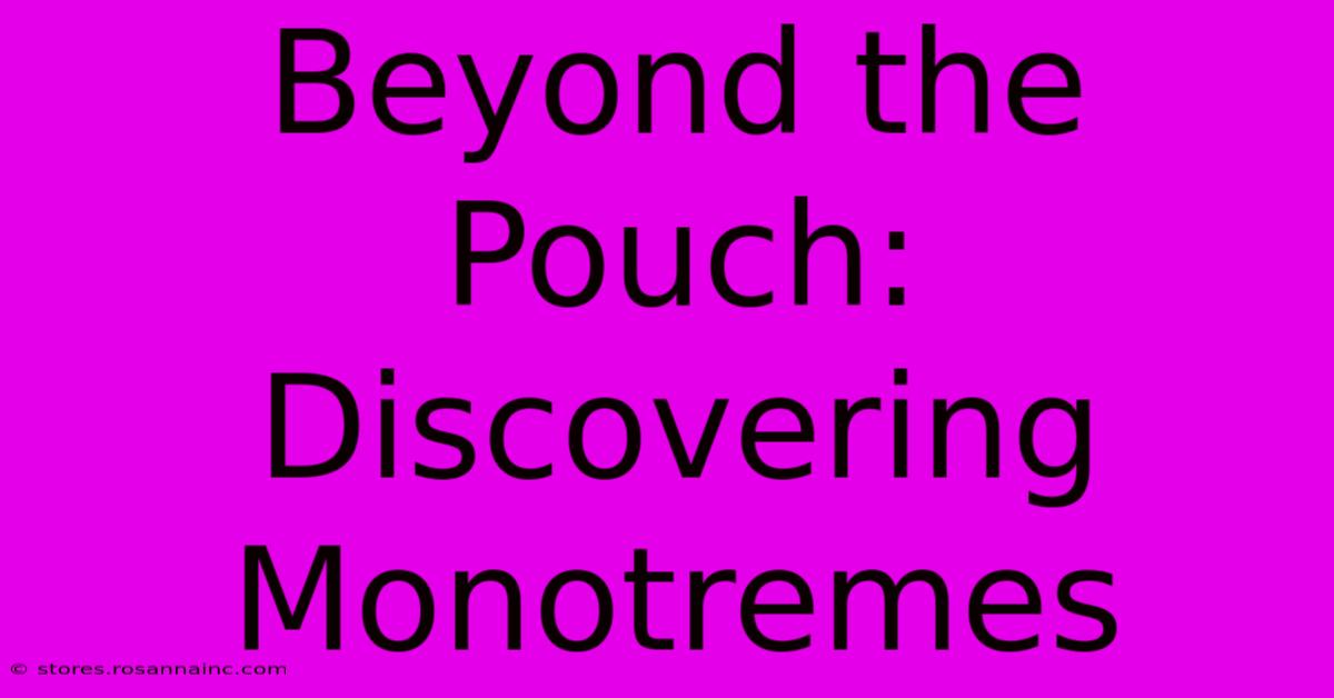 Beyond The Pouch: Discovering Monotremes