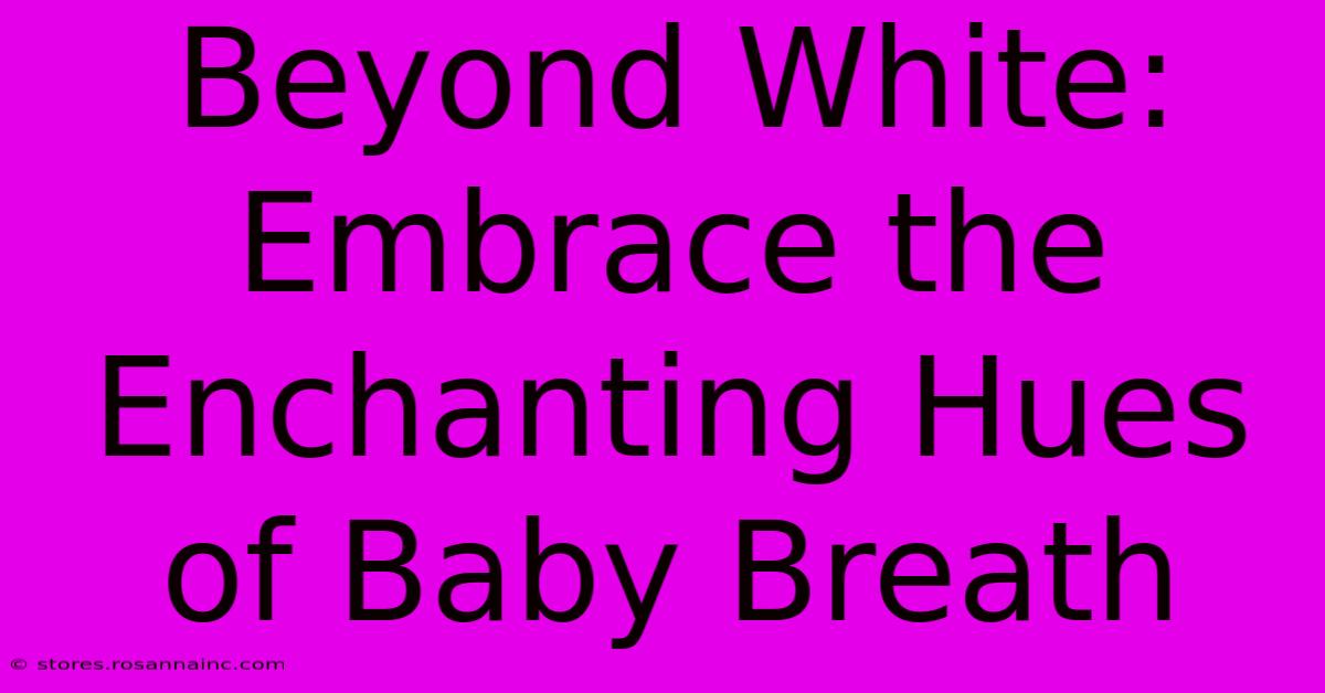 Beyond White: Embrace The Enchanting Hues Of Baby Breath