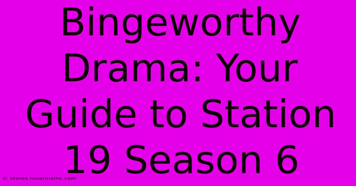 Bingeworthy Drama: Your Guide To Station 19 Season 6