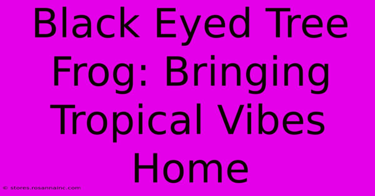 Black Eyed Tree Frog: Bringing Tropical Vibes Home