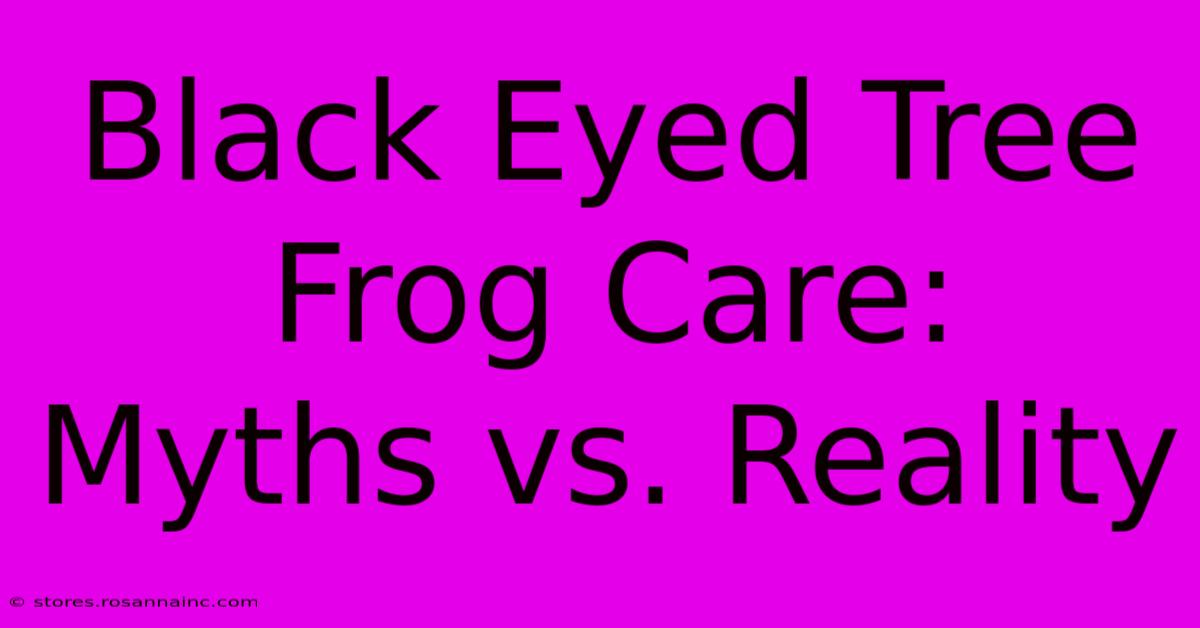 Black Eyed Tree Frog Care:  Myths Vs. Reality