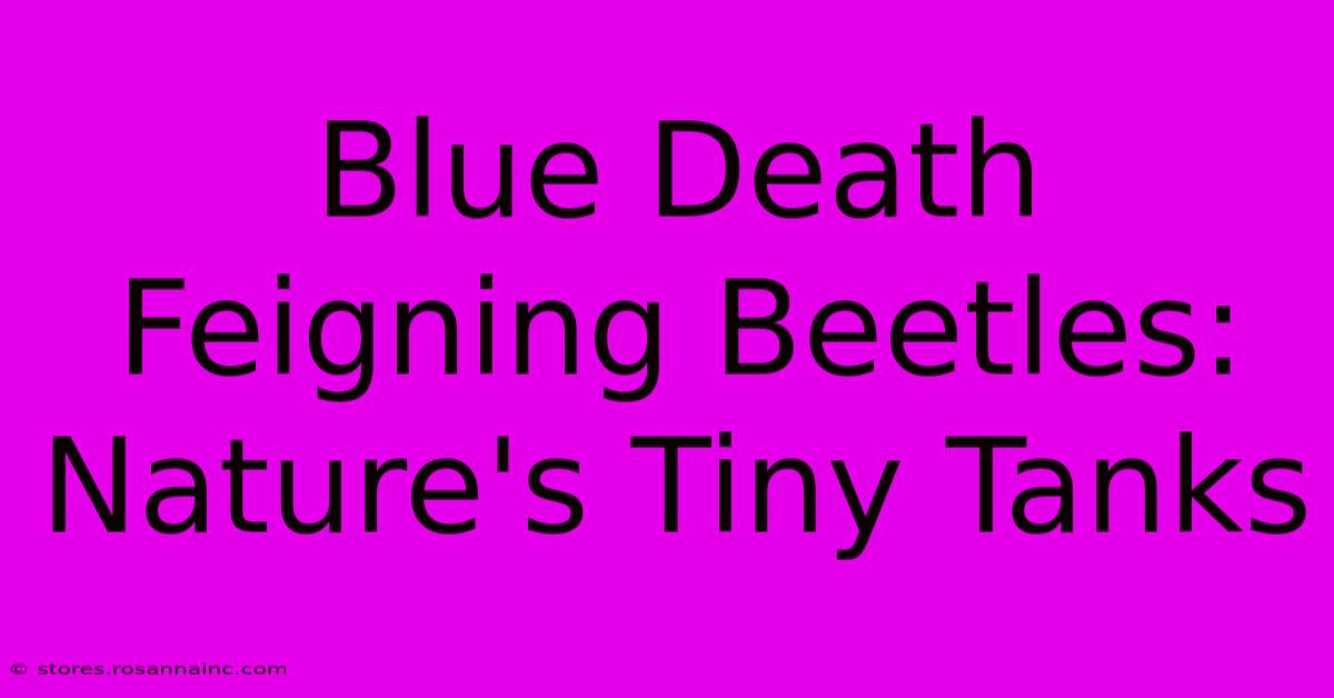 Blue Death Feigning Beetles: Nature's Tiny Tanks