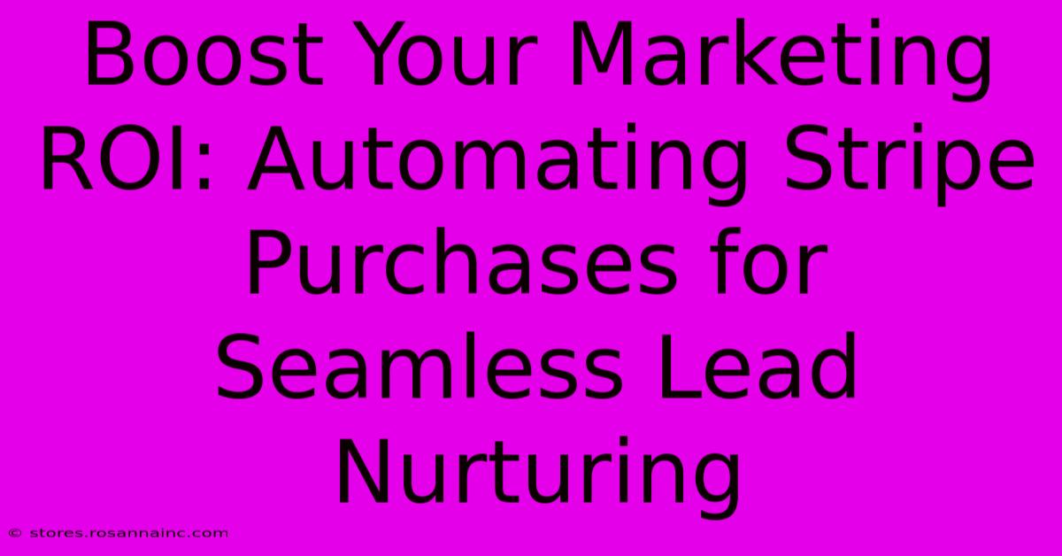 Boost Your Marketing ROI: Automating Stripe Purchases For Seamless Lead Nurturing