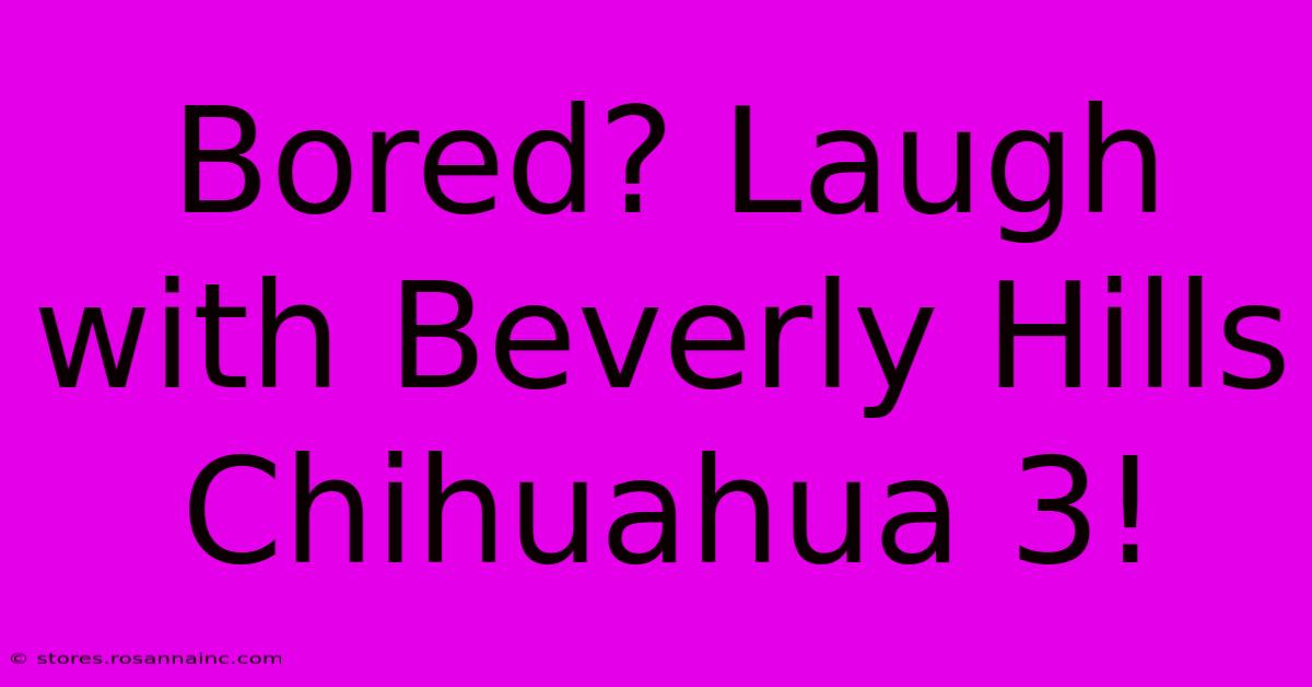 Bored? Laugh With Beverly Hills Chihuahua 3!