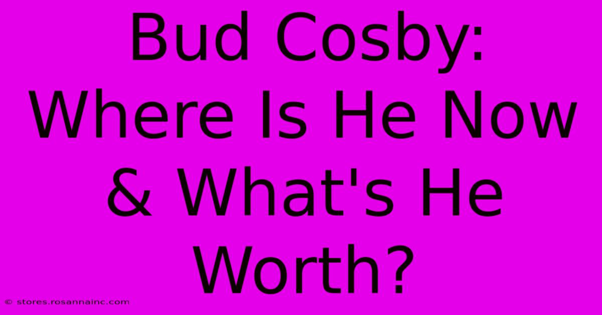 Bud Cosby: Where Is He Now & What's He Worth?