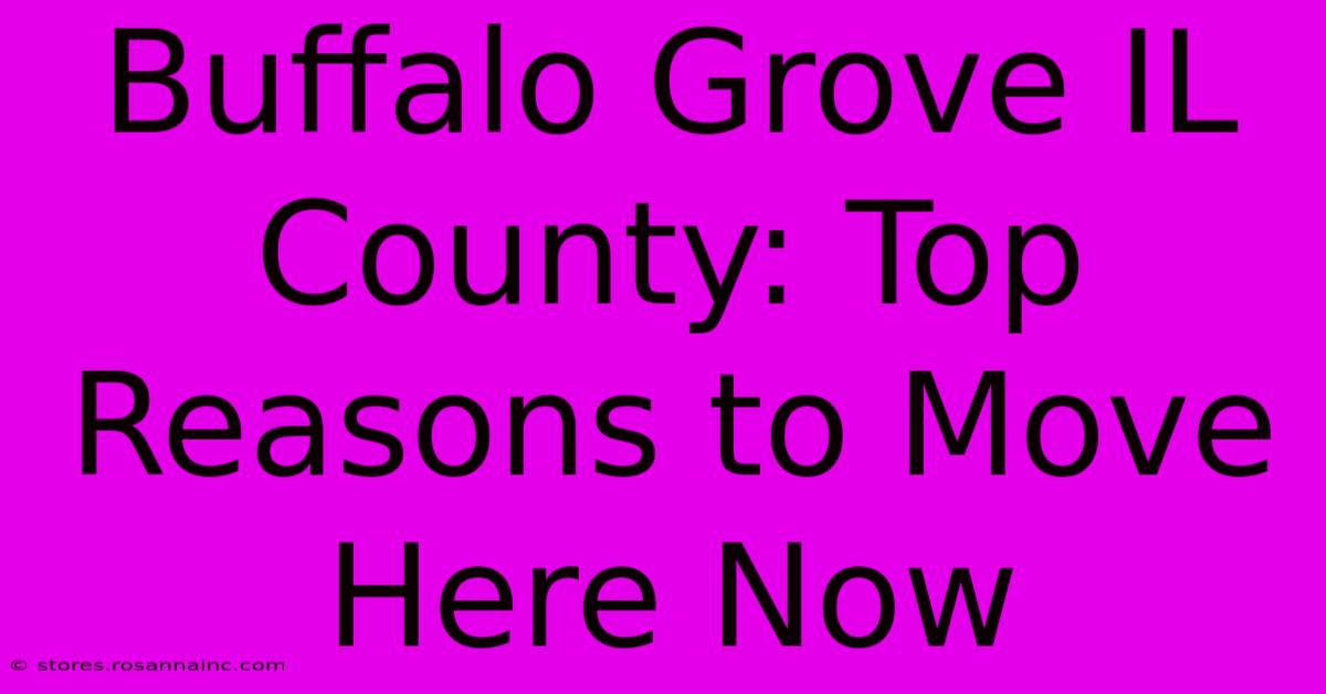 Buffalo Grove IL County: Top Reasons To Move Here Now