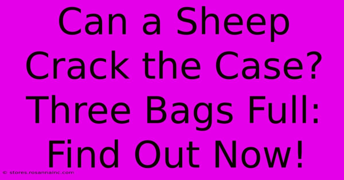 Can A Sheep Crack The Case? Three Bags Full: Find Out Now!