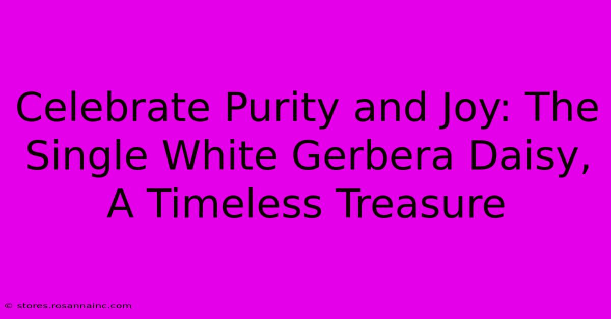 Celebrate Purity And Joy: The Single White Gerbera Daisy, A Timeless Treasure