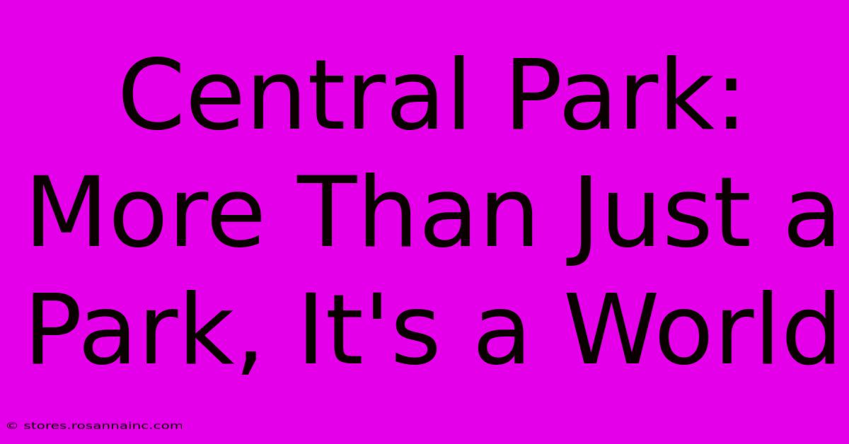 Central Park: More Than Just A Park, It's A World