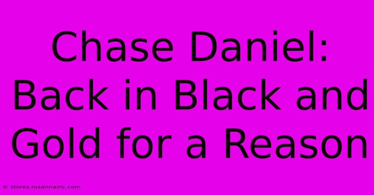 Chase Daniel: Back In Black And Gold For A Reason