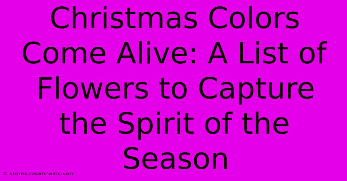 Christmas Colors Come Alive: A List Of Flowers To Capture The Spirit Of The Season