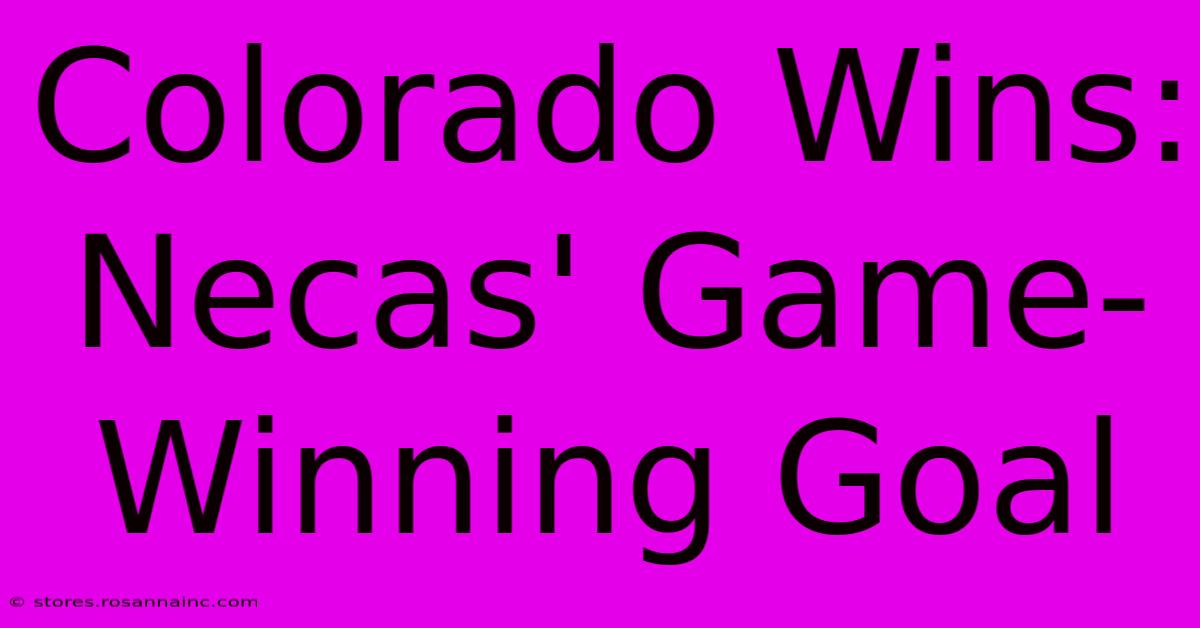 Colorado Wins: Necas' Game-Winning Goal