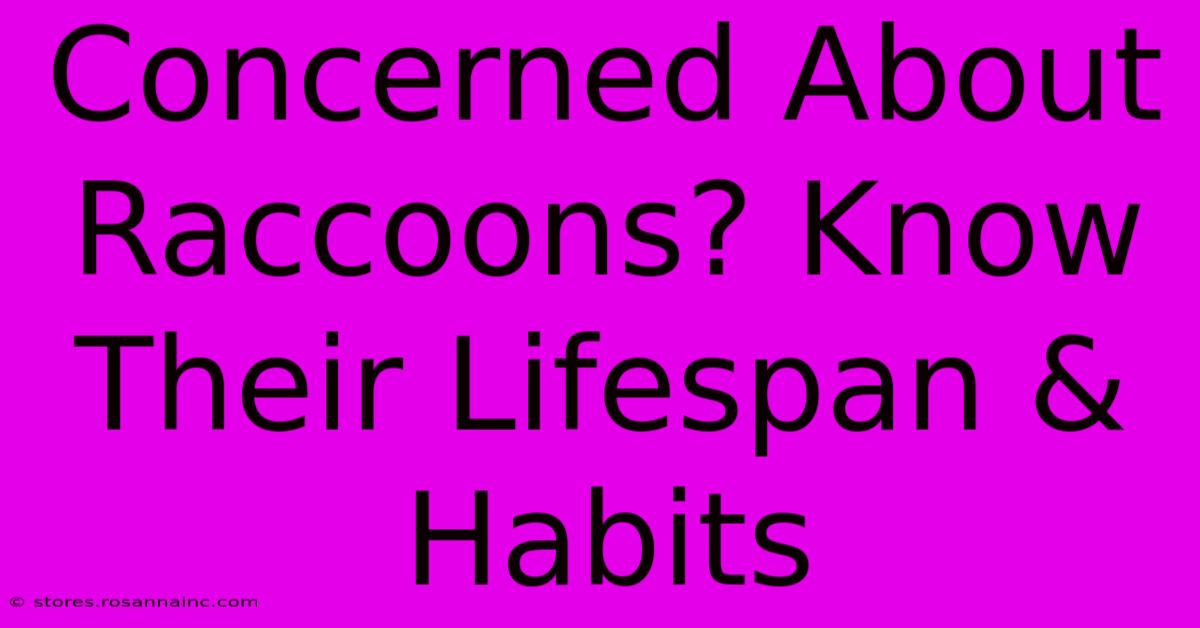 Concerned About Raccoons? Know Their Lifespan & Habits