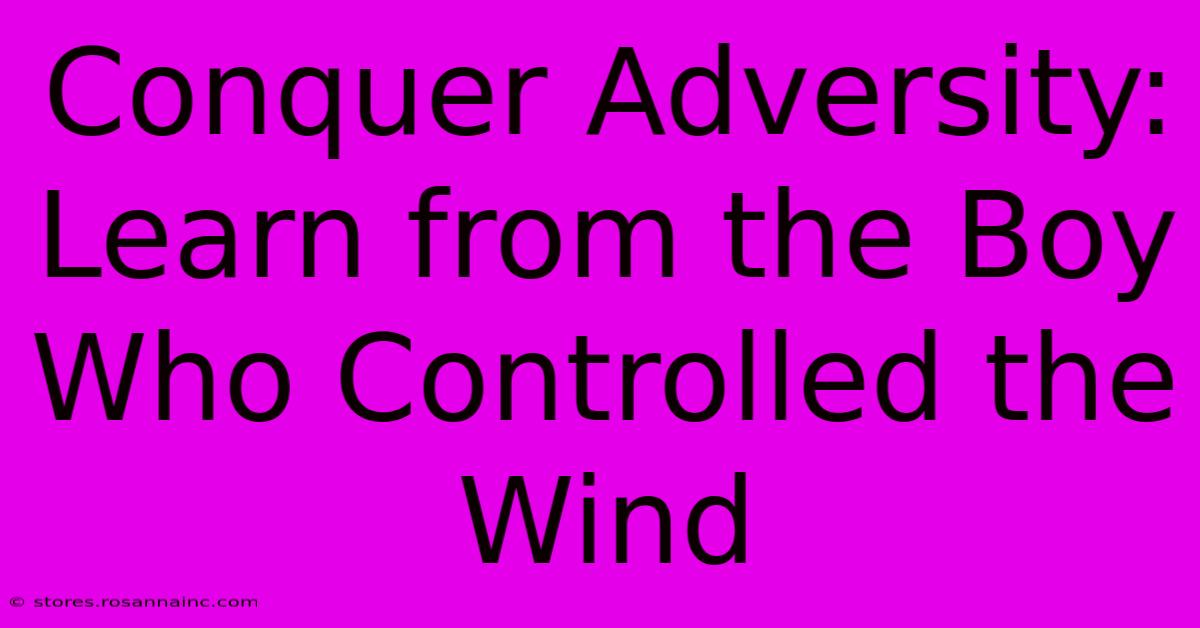 Conquer Adversity: Learn From The Boy Who Controlled The Wind