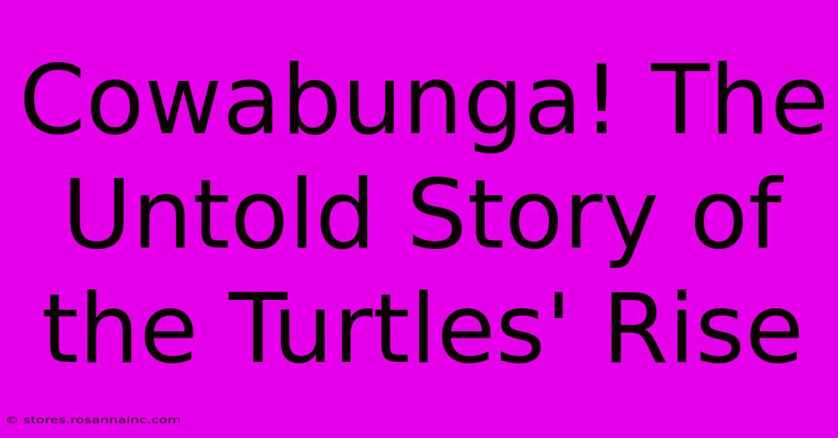 Cowabunga! The Untold Story Of The Turtles' Rise