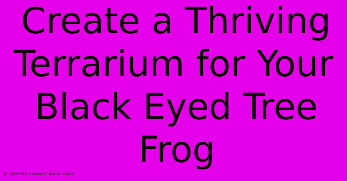 Create A Thriving Terrarium For Your Black Eyed Tree Frog