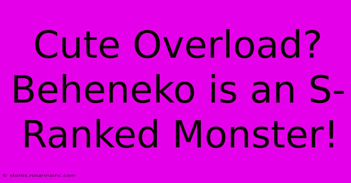 Cute Overload? Beheneko Is An S-Ranked Monster!