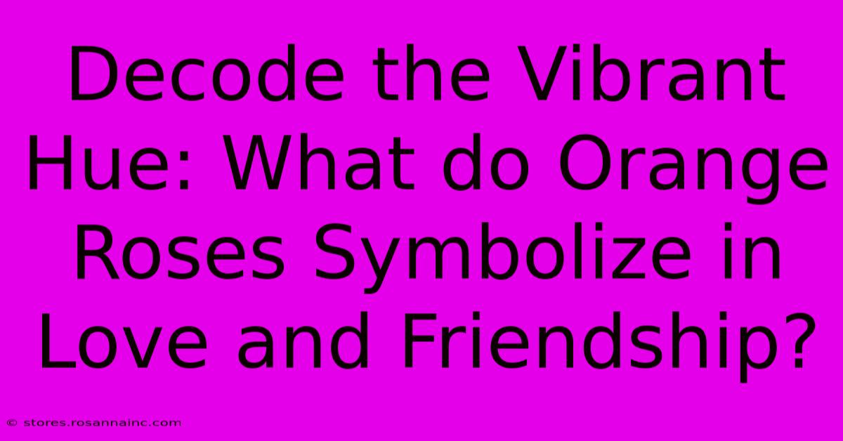 Decode The Vibrant Hue: What Do Orange Roses Symbolize In Love And Friendship?