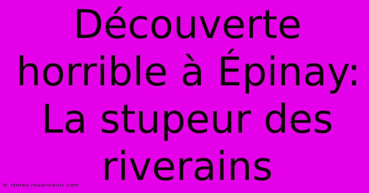 Découverte Horrible À Épinay:  La Stupeur Des Riverains