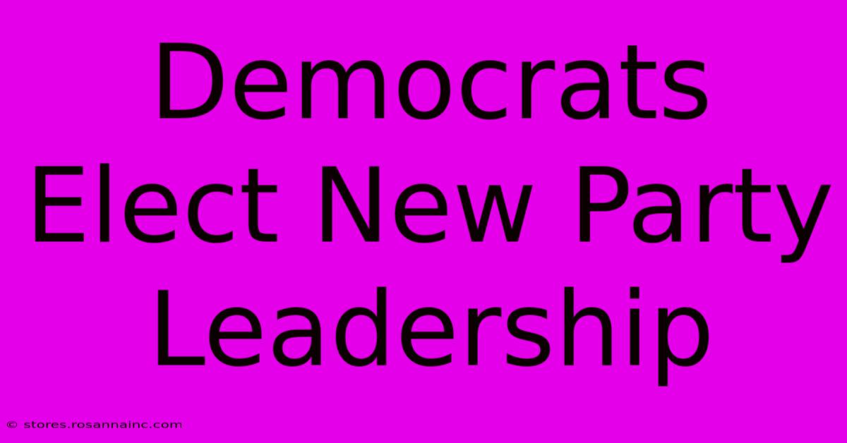 Democrats Elect New Party Leadership